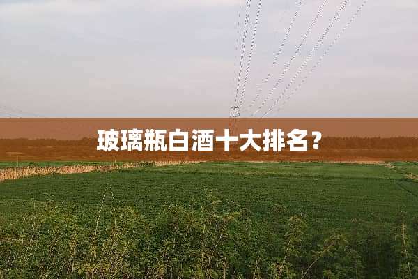 玻璃瓶白酒十大排名？