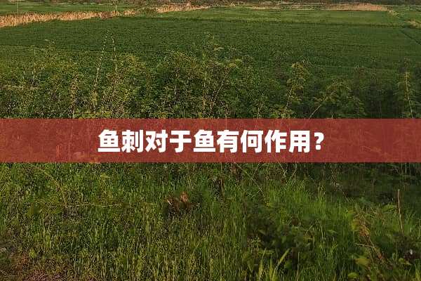 鱼刺对于鱼有何作用？