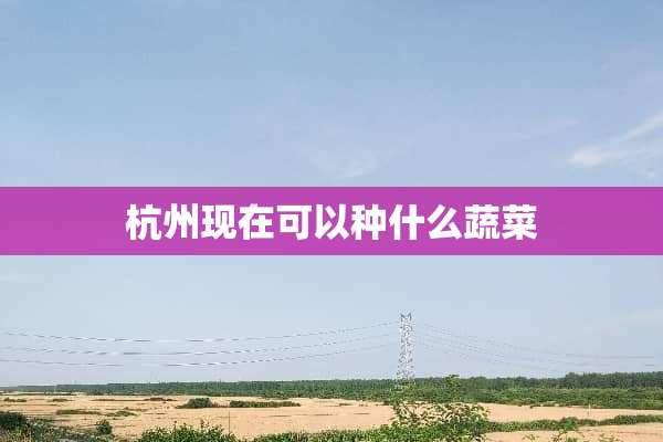 杭州现在可以种什么蔬菜