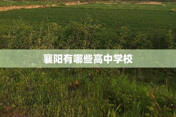襄阳有哪些高中学校