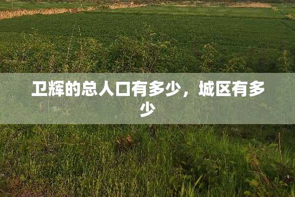 卫辉的总人口有多少，城区有多少
