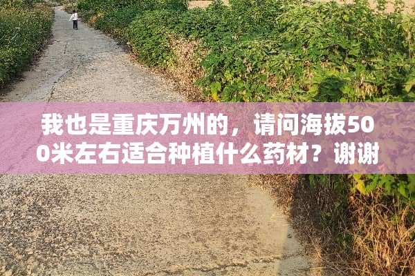 我也是重庆万州的，请问海拔500米左右适合种植什么药材？谢谢！