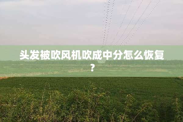 头发被吹风机吹成中分怎么恢复？