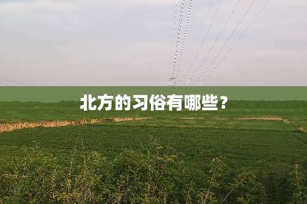 北方的习俗有哪些？
