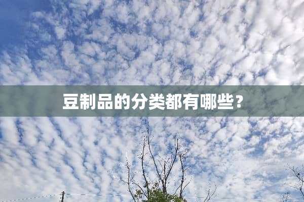 豆制品的分类都有哪些？