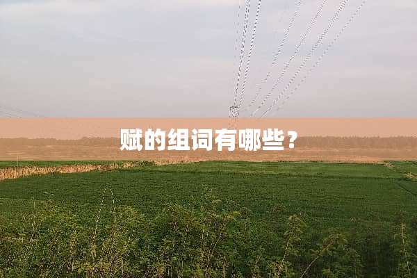 赋的组词有哪些？
