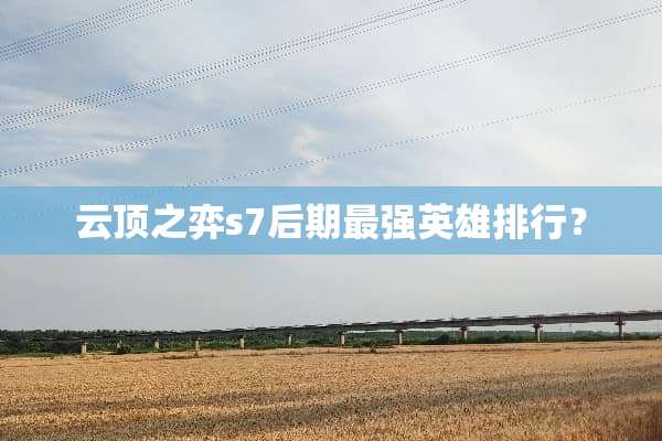云顶之弈s7后期最强英雄排行？