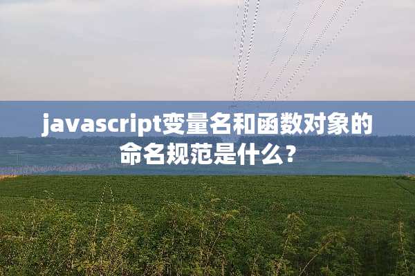 javascript变量名和函数对象的命名规范是什么？