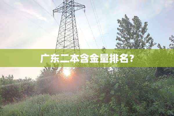 广东二本含金量排名？