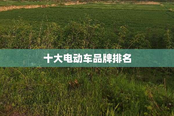 十大电动车品牌排名