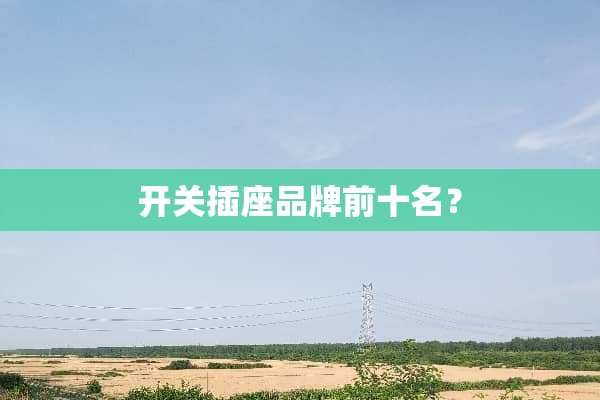 开关插座品牌前十名？