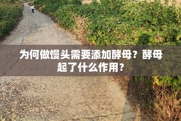 为何做馒头需要添加酵母？酵母起了什么作用？