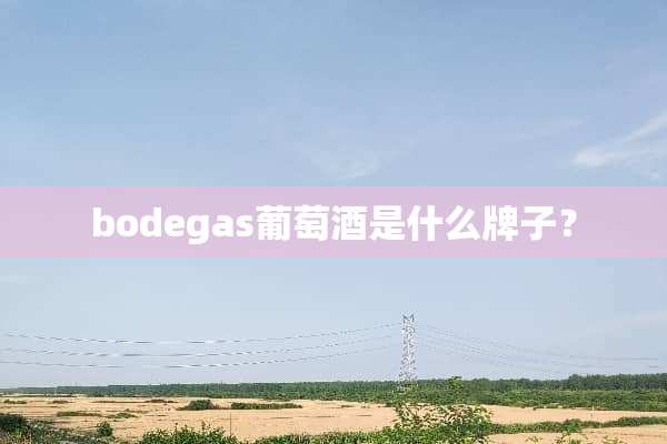 bodegas葡萄酒是什么牌子？