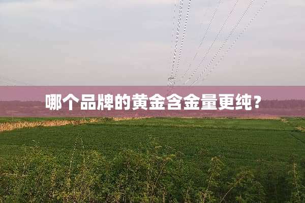 哪个品牌的黄金含金量更纯？