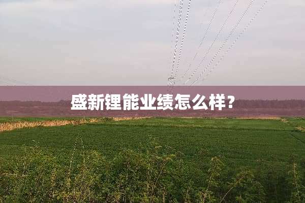 盛新锂能业绩怎么样？
