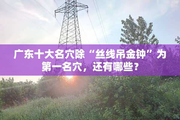 广东十大名*除“丝线吊**”为第一名*，还有哪些？