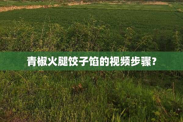 青椒火腿饺子馅的视频步骤？
