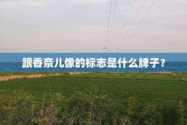 跟香奈儿像的标志是什么牌子？