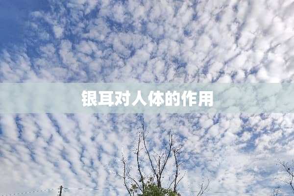 银耳对人体的作用