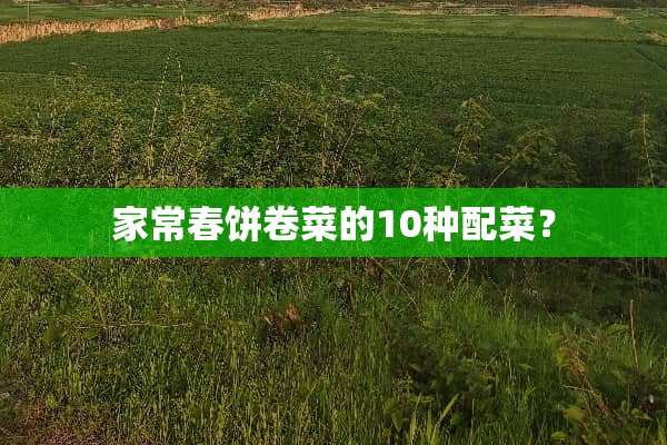 家常春饼卷菜的10种配菜？
