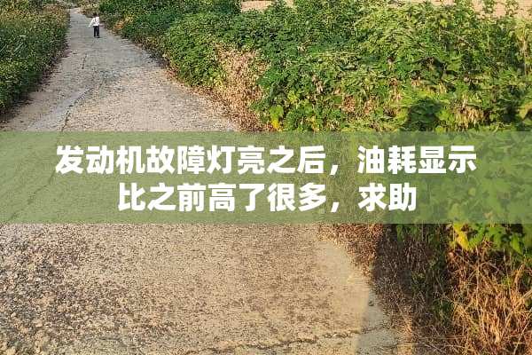 发动机故障灯亮之后，油耗显示比之前高了很多，求助