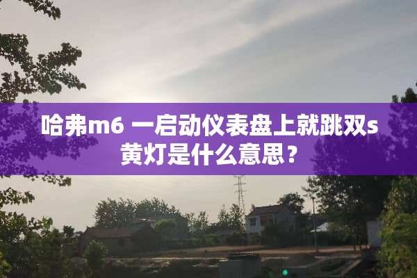 哈弗m6 一启动仪表盘上就跳双s黄灯是什么意思？