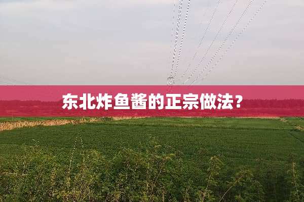 东北炸鱼酱的正宗做法？