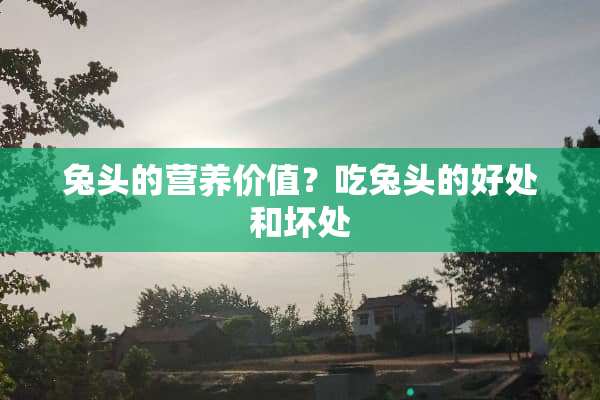 兔头的营养价值？吃兔头的好处和坏处
