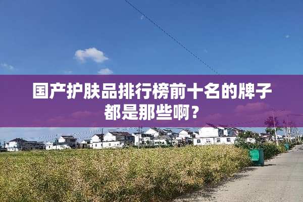 国产护肤品排行榜前十名的牌子都是那些啊？