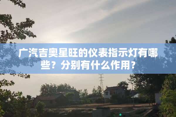 广汽吉奥星旺的仪表指示灯有哪些？分别有什么作用？