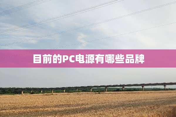 目前的PC电源有哪些品牌