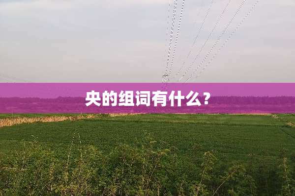 央的组词有什么？