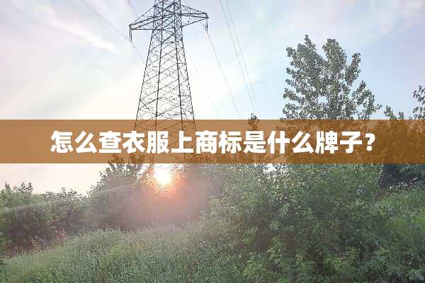 怎么查衣服上商标是什么牌子？