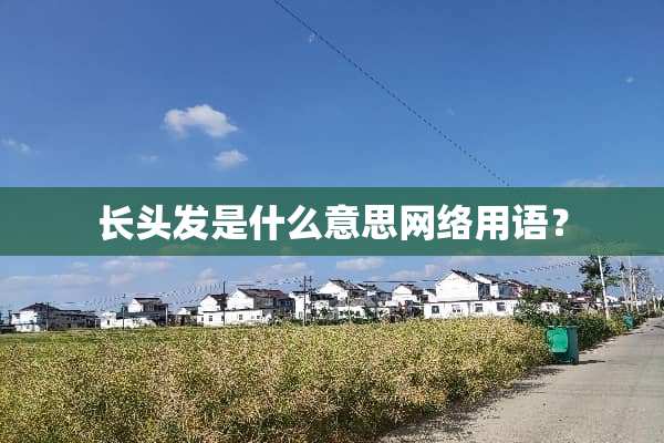 长头发是什么意思网络用语？