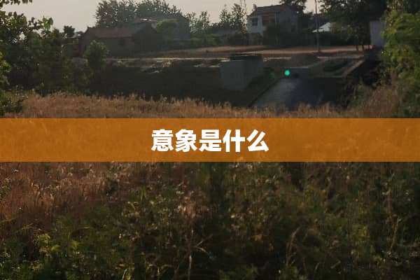 意象是什么
