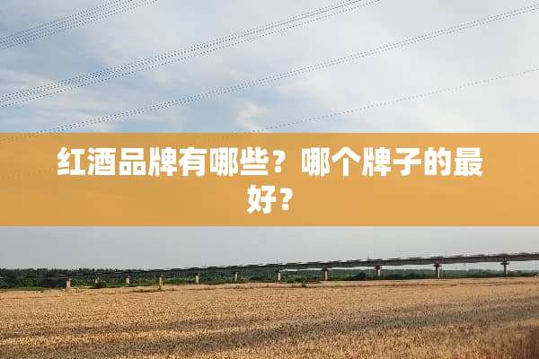 红酒品牌有哪些？哪个牌子的最好？