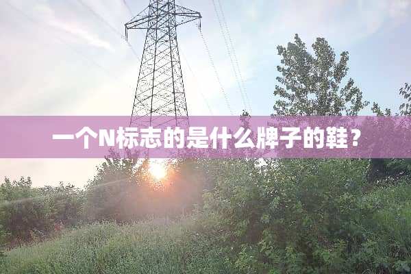 一个N标志的是什么牌子的鞋？