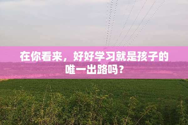 在你看来，好好学习就是孩子的唯一出路吗？
