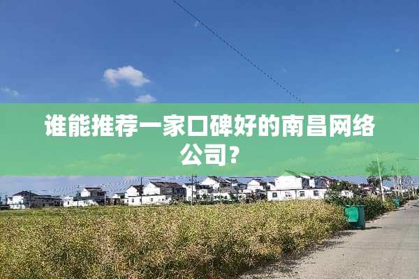 谁能推荐一家口碑好的南昌网络公司？