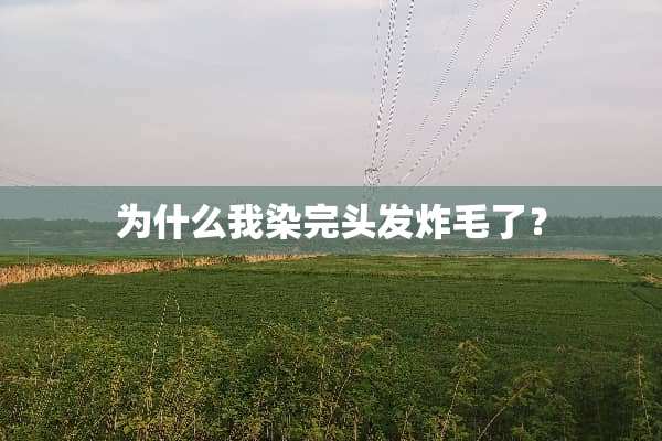 为什么我染完头发炸毛了？