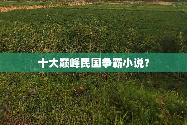 十大巅峰**争霸小说？