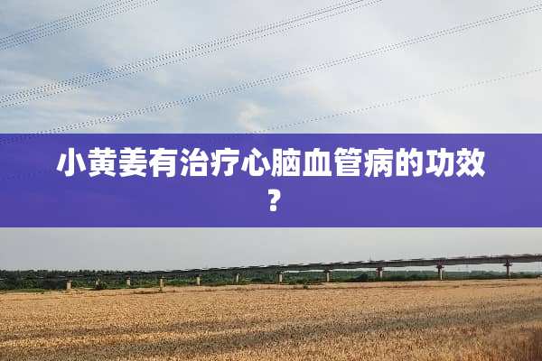 小黄姜有治疗心脑血管病的功效？