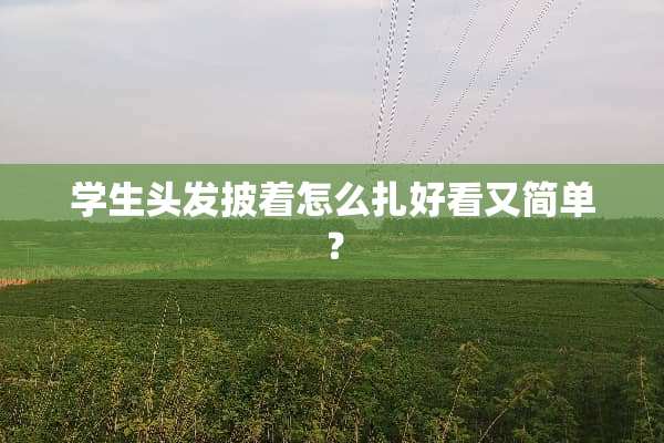 学生头发披着怎么扎好看又简单？