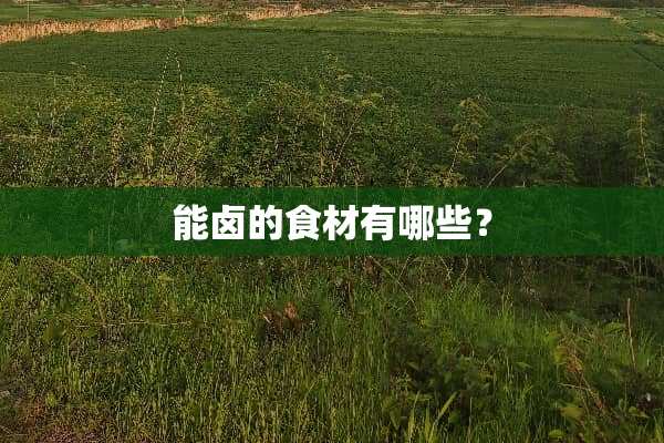 能卤的食材有哪些？
