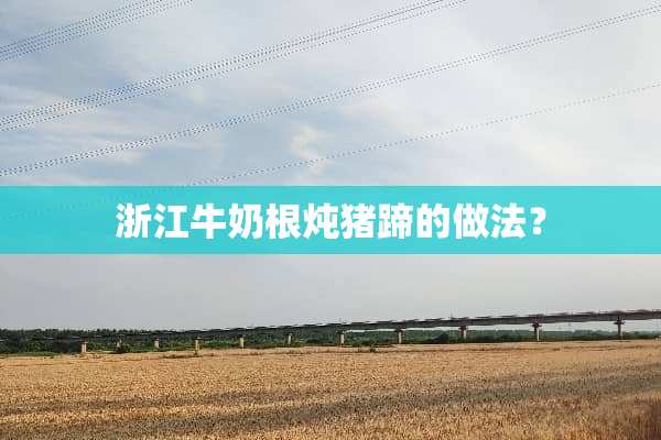 浙江牛奶根炖猪蹄的做法？