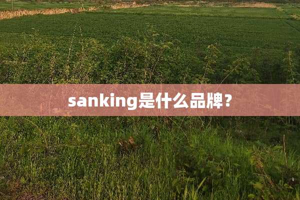 sanking是什么品牌？