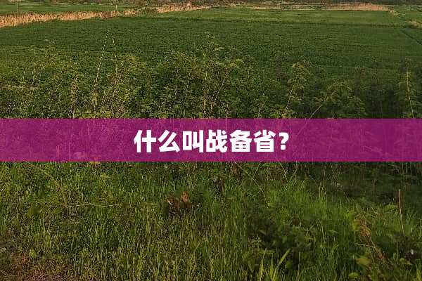 什么叫战备省？