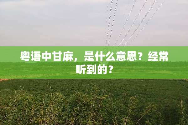 粤语中甘麻，是什么意思？经常听到的？