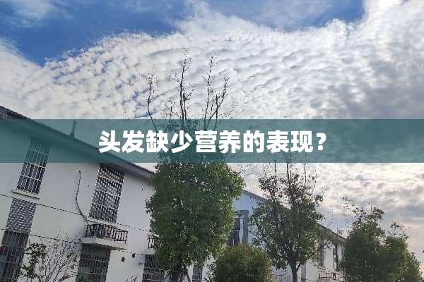 头发缺少营养的表现？