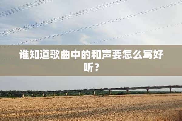谁知道歌曲中的和声要怎么写好听？